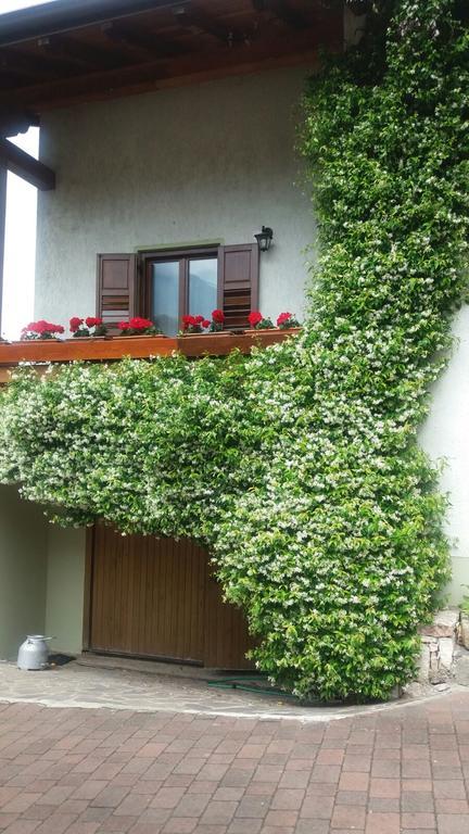 La Casa Del Gelsomino Apartment *
